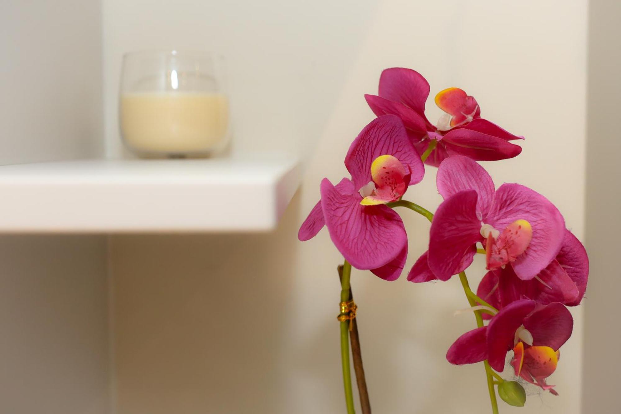 Apartments Milanovic تْشيرسيك نوفي المظهر الخارجي الصورة